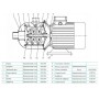 Многоступенчатый насос CNP CHL 12-40 LSWSR